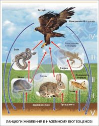 0601as36-fcea-197x250.png