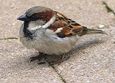 0601ascj-61a8-164x119.jpg