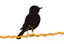 0601asnu-52ef-286x198.png
