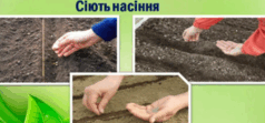 0601awyu-5a57-238x111.png