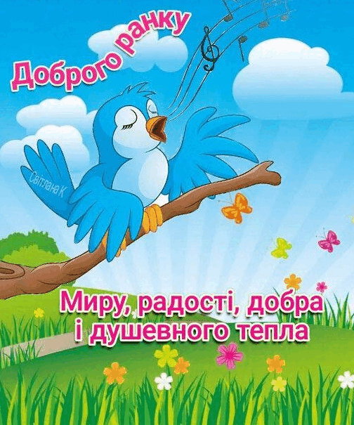 0601axnf-78e1-504x605.png