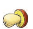 0601axox-521a-112x101.png