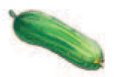 0601axoz-7023-121x77.png