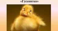Микола Вінграновський «Гусенятко» | Тест на 12 запитань. Українська література