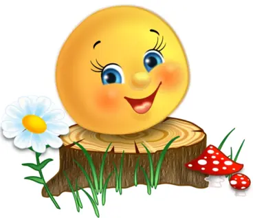 0601b1h5-b2af-368x317.webp