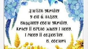 Тематичне заняття до Дня Соборності України .