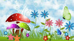 Die Natur und wir