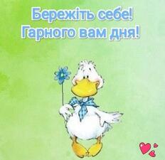 0601bckn-3b7e-232x225.jpg