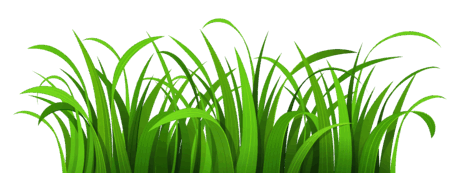 0601bdlp-408a-463x173.png