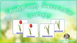 Дидактична гра "Знайди пару. Весняні квіти" (меморі)