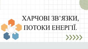 Презентацыя на тему "Харчові зв’язки, потоки енергії."