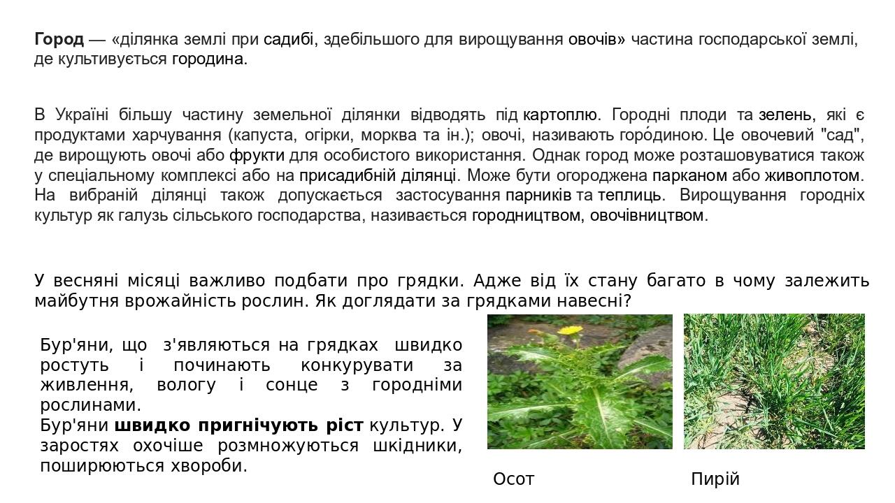 Город — «ділянка землі при садибі, здебільшого для вирощування овочів» частина господарської землі, де культивується городина. В Україні більшу час...