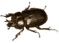 0601bfpb-13c0-59x43.png
