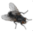 0601bfpc-9300-47x47.png
