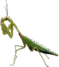 0601bfpd-24f9-59x67.png