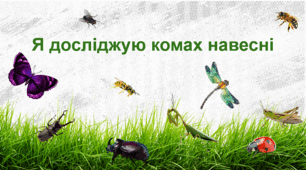 Я досліджую комах навесні / матеріали до уроку ЯДС 2 клас