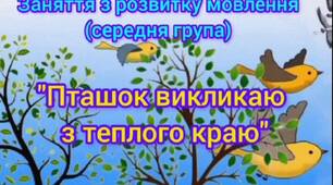 Відеозаняття з розвитку мовлення "Пташок викликаю з теплого краю"