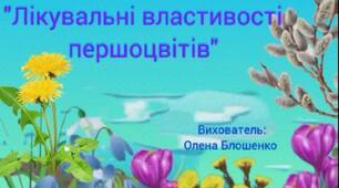 Відеозаняття з валеології "Лікувальні властивості першоцвітів"