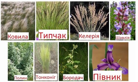 0601bkvv-0c4a-562x335.jpg