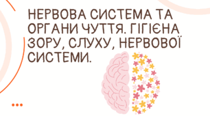 Презентація на тему "Нервова система та органи чуття. Гігієна зору, слуху, нервової системи."