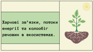Презентація "Харчові зв’язки, потоки енергії та колообіг речовин в екосистемах"