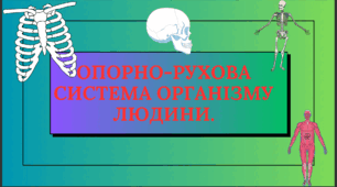 Опорно-рухова система організму людини.
