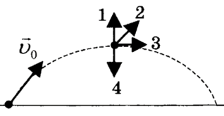 0601btln-fc71-318x165.png