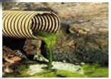 0601bu3t-5c16-156x112.png