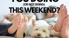 What are doing this weekend?