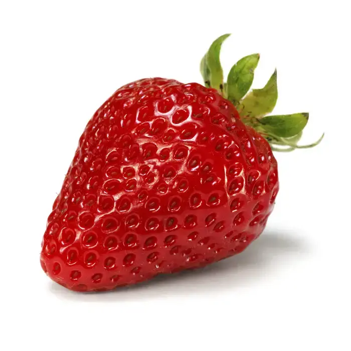 0601bve0-f464-700x700.webp