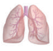 0601bwya-3f31-159x152.png