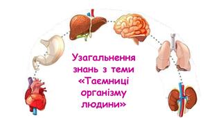Узагальнення знань з теми «Таємниці організму людини» 5 клас НУШ