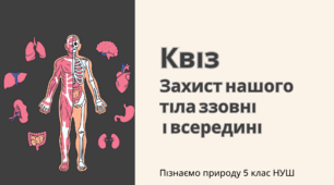 Квіз/вікторина з теми: "Захист нашого тіла ззовні і всередині"