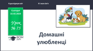 Спостерігаємо за домашніми улюбленцями.