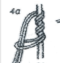 0601ccdh-81f1-206x217.png