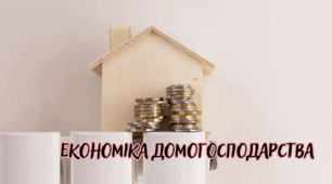 Економіка домогосподарства.