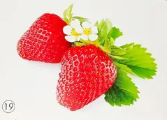 0601cdoe-d869-239x172.webp