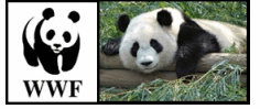 0601cdw3-36d1-236x99.png