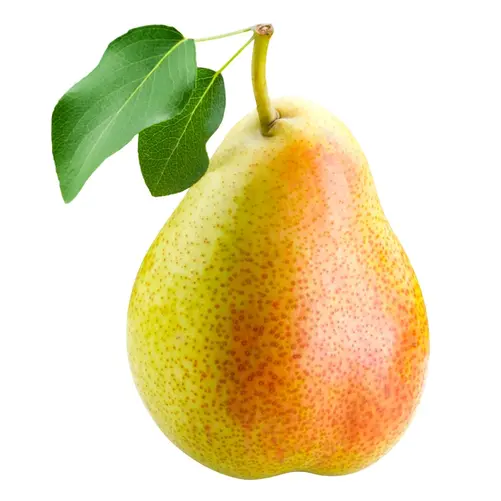 0601ce0m-617d-501x501.webp