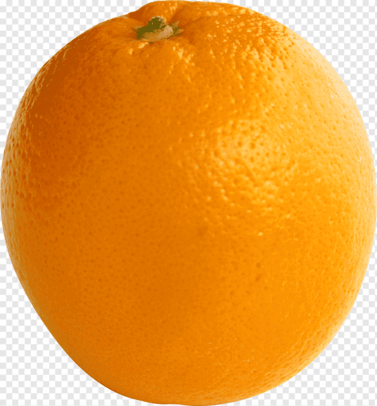 0601ce4b-fda1-377x406.png