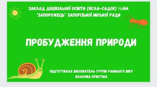 Спостереження за мурахой та равликом.