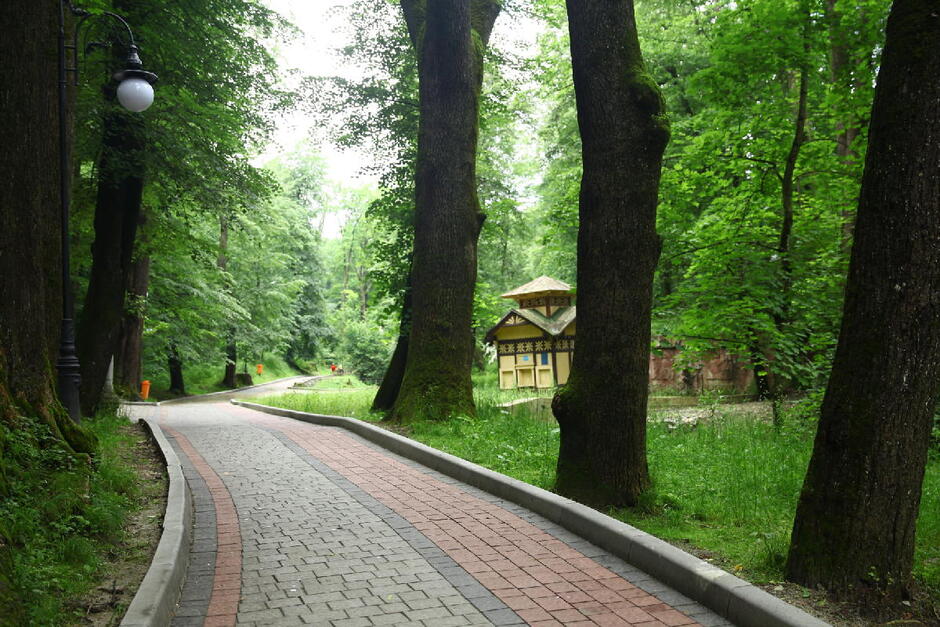 0601cg7f-683d-940x627.jpg