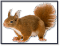 0601cj3m-8d69-123x95.png