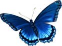 0601cj4k-5133-125x94.png