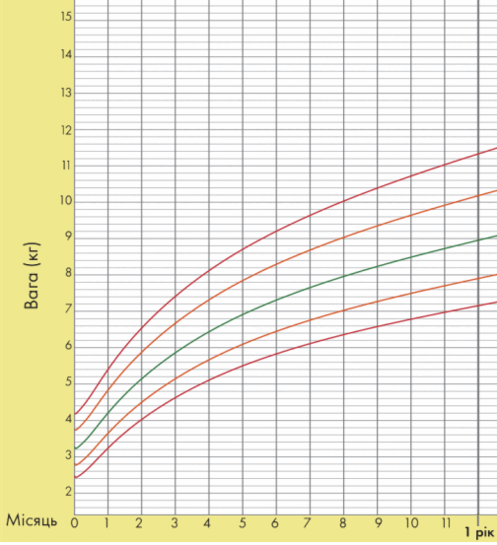 0601cltp-1bdd-332x364.png