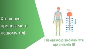 Презентація з уроку Пізнаємо природу для 5 класу на тему «Хто керує процесами в нашому тілі»