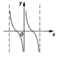 0601cngb-9846-199x202.png