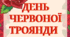 Тематичний комплект "День червоної троянди"