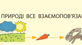 Діагностувальна робота 7. У ПРИРОДІ ВСЕ ВЗАЄМОПОВ'ЯЗАНЕ