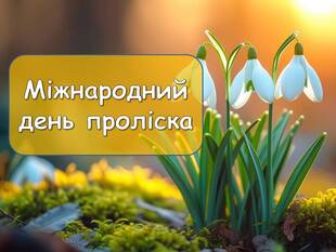 0601cy57-1f81-310x233.jpg